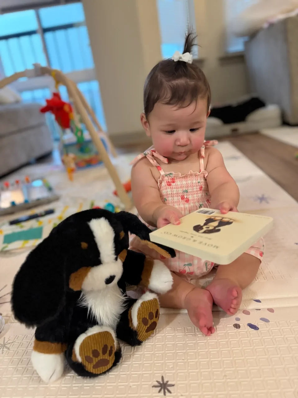 A child holding an Ollie book beside the plush